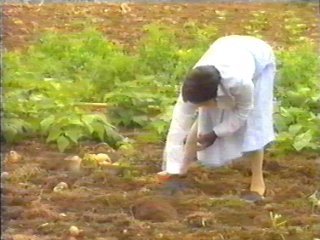 PATATAS (2)